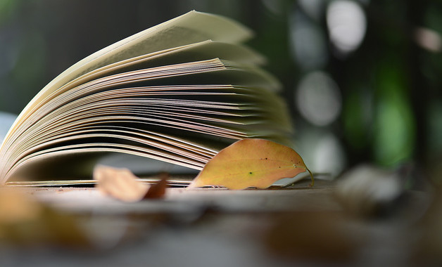 职业技术学院教学任务安排及运行管理制度（优选10篇）