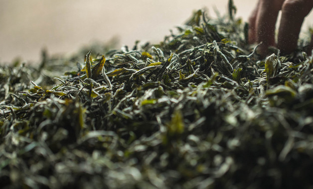 绿茶要放冰箱多少度